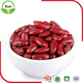 Dark Red or Red Kidney Beans